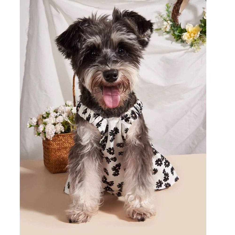 Flower Print Pet Dress 🐩